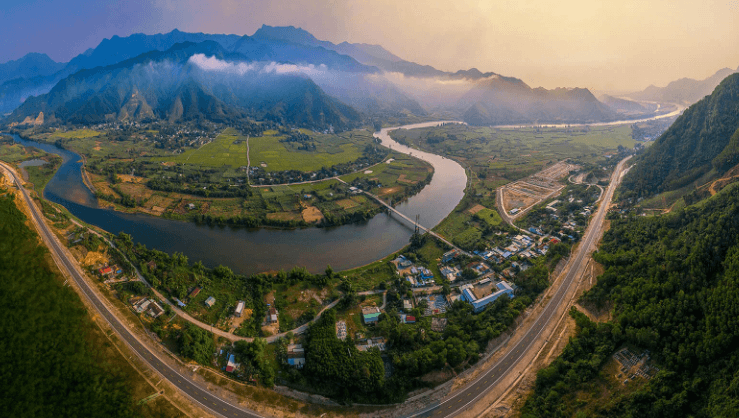 hoa-vang