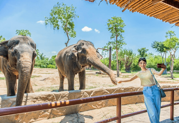 vé vinwonders nam hội an