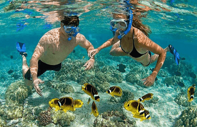 TOUR TÀU ĐÁY KÍNH - LẶN NGẮM SAN HÔ SƠN TRÀ